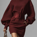 Brown LongSleeve Mini Dress